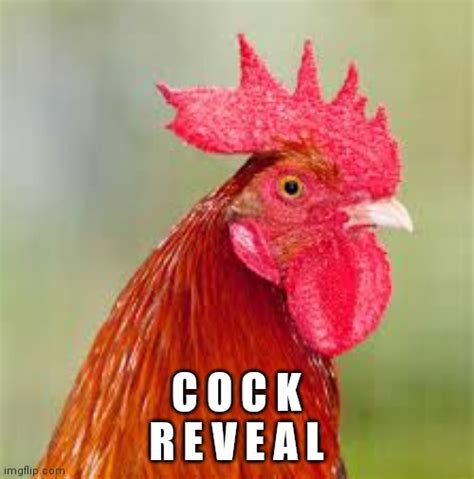 hard cock pictures|Just Cock Pictures